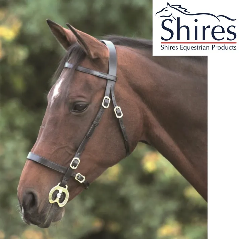 Shires Blenheim Plain Inhand Bridle - Havana